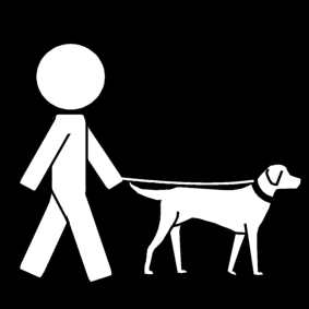 sortir le chien